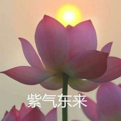 宝宝学水果游戏下载